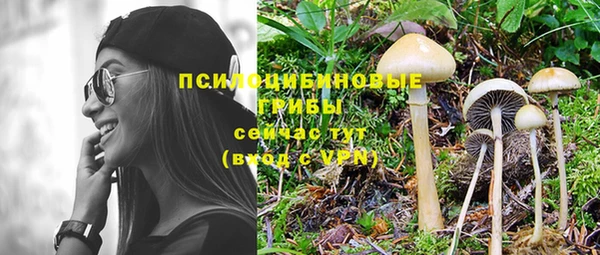 скорость Заводоуковск