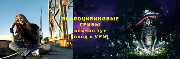 прущий лед Ельня