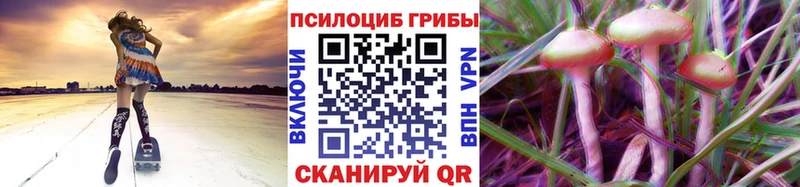 нарко площадка формула  Сосногорск  Псилоцибиновые грибы Psilocybine cubensis  цена наркотик 